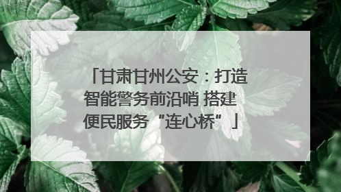 甘肃甘州公安：打造智能警务前沿哨 搭建便民服务“连心桥”