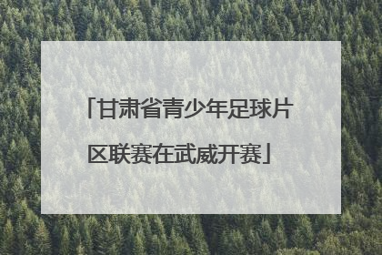 甘肃省青少年足球片区联赛在武威开赛