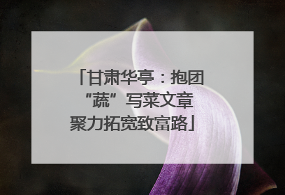 甘肃华亭：抱团“蔬”写菜文章 聚力拓宽致富路