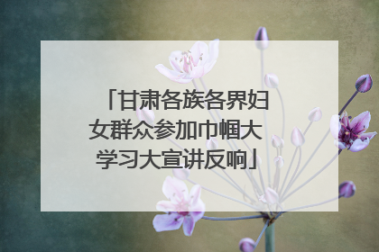 甘肃各族各界妇女群众参加巾帼大学习大宣讲反响