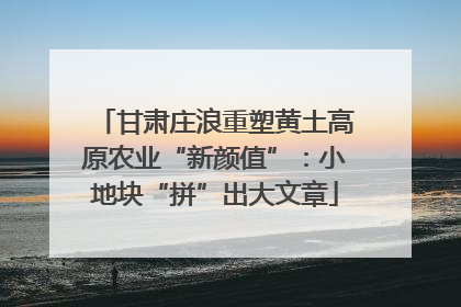 甘肃庄浪重塑黄土高原农业“新颜值”：小地块“拼”出大文章