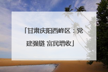 甘肃庆阳西峰区：党建强链 富民增收