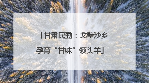 甘肃民勤：戈壁沙乡孕育“甘味”领头羊