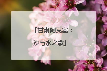 甘肃阿克塞：沙与水之歌