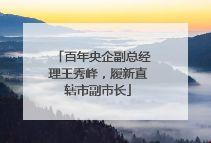 百年央企副总经理王秀峰，履新直辖市副市长
