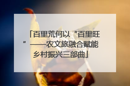 百里荒何以“百里旺”——农文旅融合赋能乡村振兴三部曲