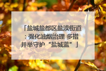 盐城盐都区盐渎街道：强化油烟治理 多措并举守护“盐城蓝”