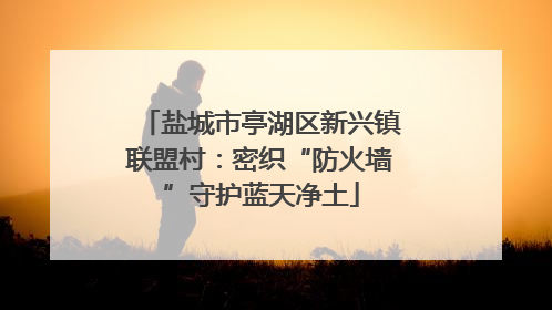 盐城市亭湖区新兴镇联盟村：密织“防火墙”守护蓝天净土