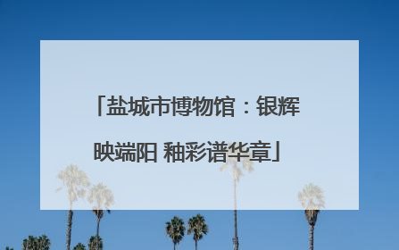 盐城市博物馆：银辉映端阳 釉彩谱华章