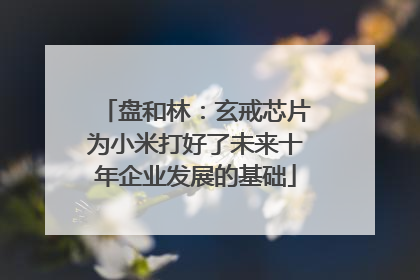 盘和林：玄戒芯片为小米打好了未来十年企业发展的基础