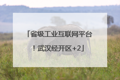 省级工业互联网平台！武汉经开区+2