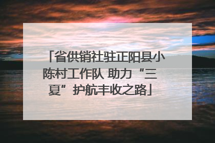 省供销社驻正阳县小陈村工作队 助力“三夏”护航丰收之路