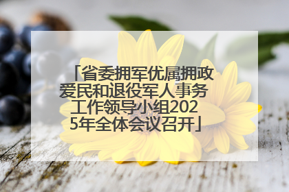 省委拥军优属拥政爱民和退役军人事务工作领导小组2025年全体会议召开