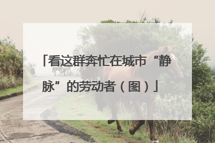 看这群奔忙在城市“静脉”的劳动者（图）