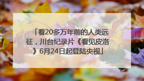 看20多万年前的人类远征，川台纪录片《看见皮洛》6月24日起登陆央视
