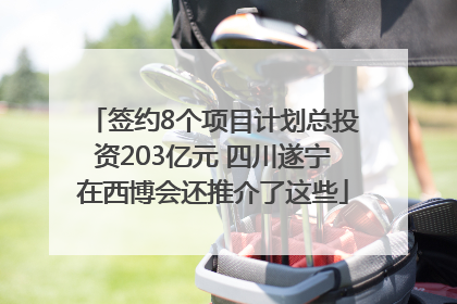 签约8个项目计划总投资203亿元 四川遂宁在西博会还推介了这些