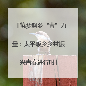 筑梦斛乡“青”力量：太平畈乡乡村振兴青春进行时