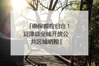 确保颗粒归仓！夏津县全域开放公共区域晒粮