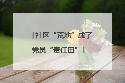 社区“荒地”成了党员“责任田”