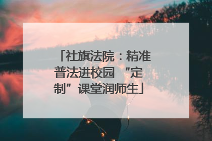 社旗法院：精准普法进校园 “定制”课堂润师生