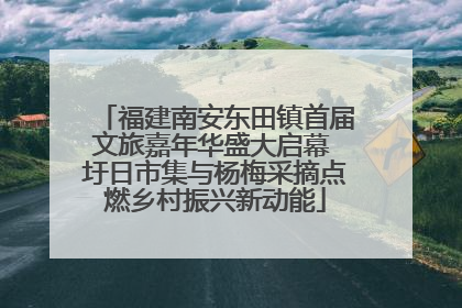福建南安东田镇首届文旅嘉年华盛大启幕 圩日市集与杨梅采摘点燃乡村振兴新动能