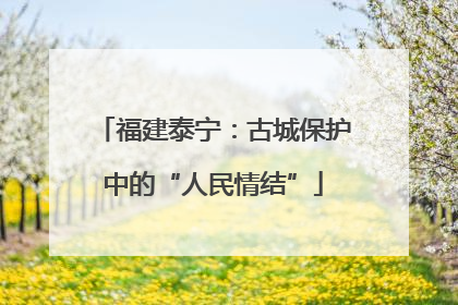 福建泰宁：古城保护中的“人民情结”
