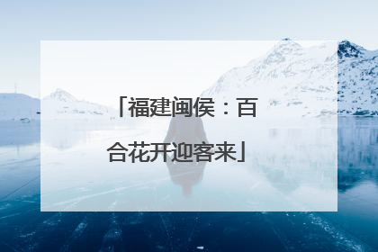 福建闽侯：百合花开迎客来