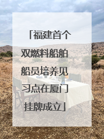 福建首个双燃料船舶船员培养见习点在厦门挂牌成立