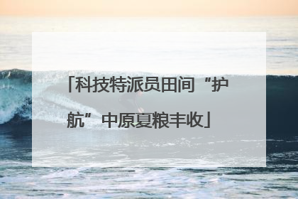 科技特派员田间“护航”中原夏粮丰收