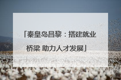 秦皇岛昌黎：搭建就业桥梁 助力人才发展