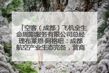 空客（成都）飞机全生命周期服务有限公司总经理布莱恩·阿格纽：成都航空产业生态完备，营商环境优势显著