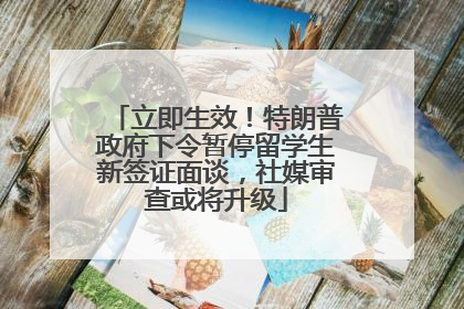 立即生效！特朗普政府下令暂停留学生新签证面谈，社媒审查或将升级