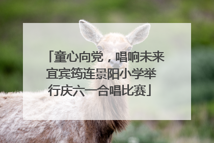童心向党，唱响未来 宜宾筠连景阳小学举行庆六一合唱比赛