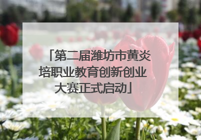 第二届潍坊市黄炎培职业教育创新创业大赛正式启动