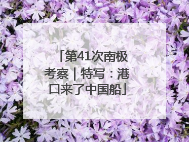 第41次南极考察｜特写：港口来了中国船