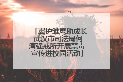 翼护雏鹰助成长 武汉市司法局何湾强戒所开展禁毒宣传进校园活动