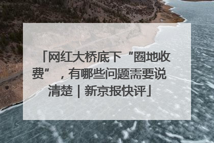 网红大桥底下“圈地收费”，有哪些问题需要说清楚｜新京报快评
