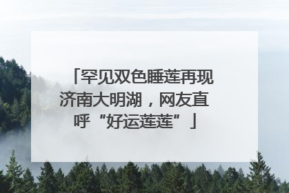 罕见双色睡莲再现济南大明湖，网友直呼“好运莲莲”