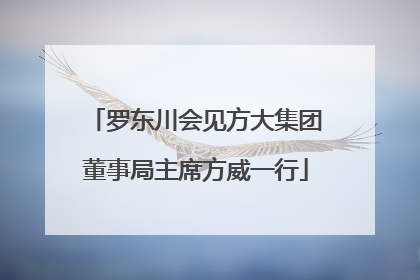 罗东川会见方大集团董事局主席方威一行