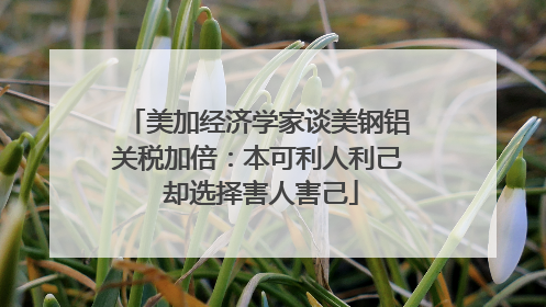 美加经济学家谈美钢铝关税加倍：本可利人利己 却选择害人害己
