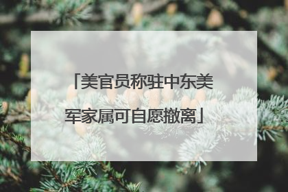 美官员称驻中东美军家属可自愿撤离