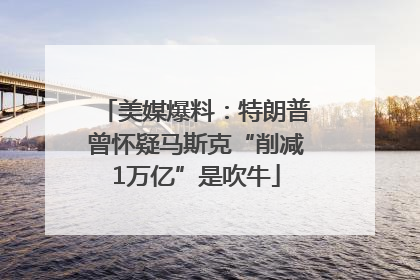 美媒爆料：特朗普曾怀疑马斯克“削减1万亿”是吹牛