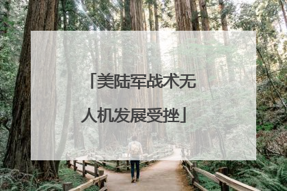 美陆军战术无人机发展受挫