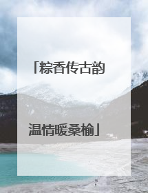 粽香传古韵 温情暖桑榆