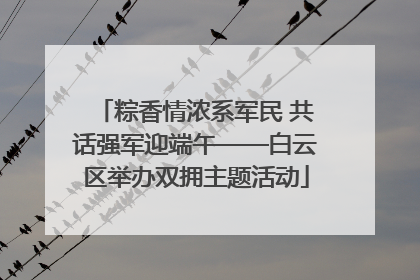 粽香情浓系军民 共话强军迎端午——白云区举办双拥主题活动