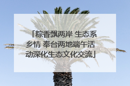 粽香飘两岸 生态系乡情 奉台两地端午活动深化生态文化交流