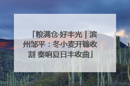 粮满仓·好丰光｜滨州邹平：冬小麦开镰收割 奏响夏日丰收曲