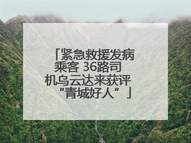 紧急救援发病乘客 36路司机乌云达来获评“青城好人”