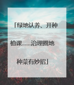 绿地认养、开种植课……治理圈地种菜有妙招