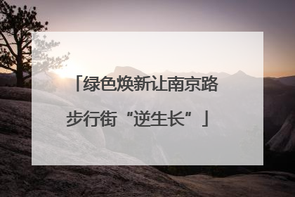 绿色焕新让南京路步行街“逆生长”